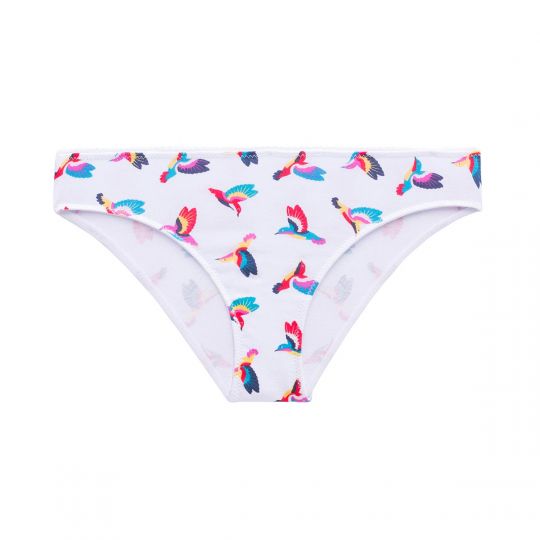 Lot de 2 slips en coton blanc Clem