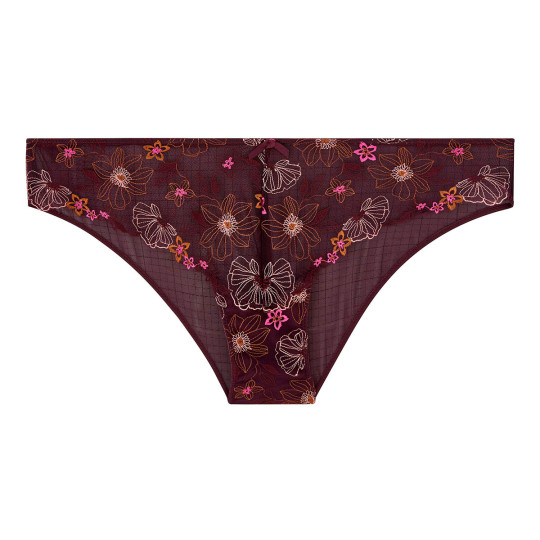 Culotte prune Santal