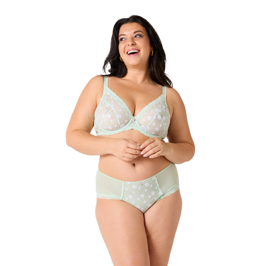 Shorty grande taille vert Délicatesse