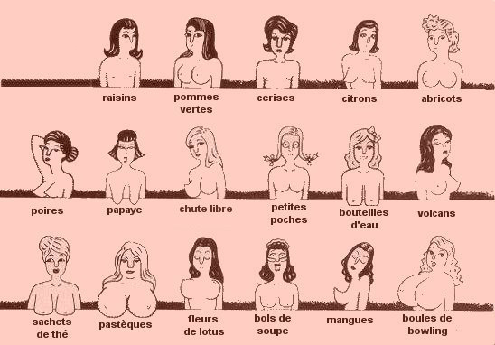 Les Differentes Formes De Poitrine Pomm Poire Les Differentes Formes De Poitrine Pomm Poire