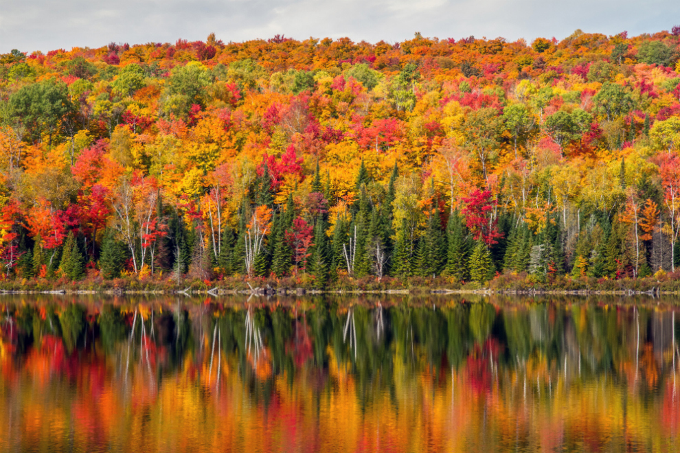 Paysage d'automne